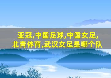 亚冠,中国足球,中国女足,北青体育,武汉女足是哪个队