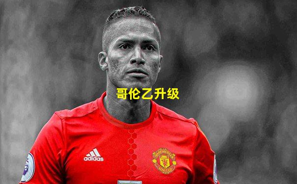 哥伦乙升级