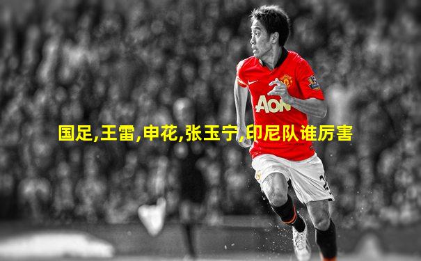 国足,王雷,申花,张玉宁,印尼队谁厉害