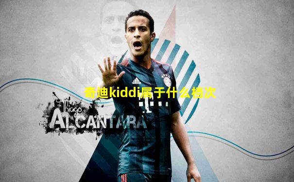 奇迪kiddi属于什么档次