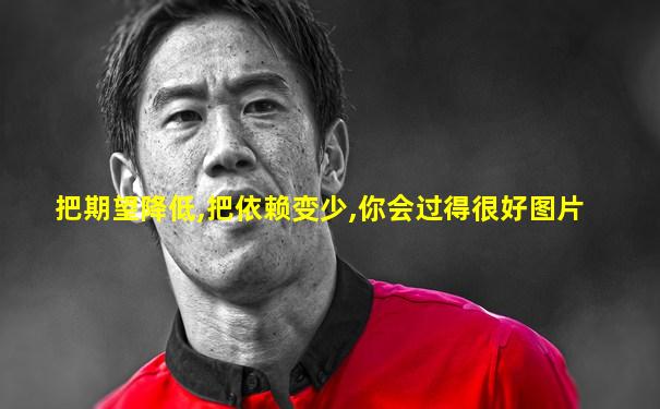 把期望降低,把依赖变少,你会过得很好图片