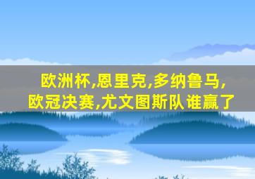欧洲杯,恩里克,多纳鲁马,欧冠决赛,尤文图斯队谁赢了