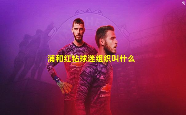 浦和红钻球迷组织叫什么