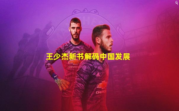 王少杰新书解码中国发展