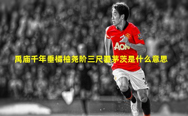 禹庙千年垂橘柚尧阶三尺覆茅茨是什么意思