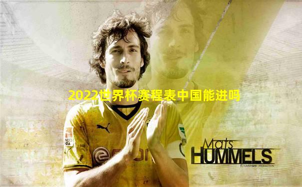 2022世界杯赛程表中国能进吗