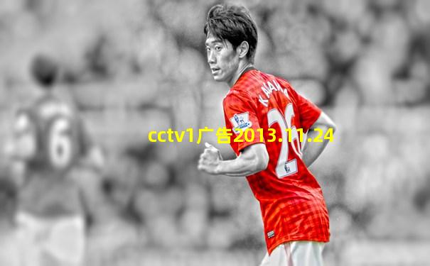 cctv1广告2013.11.24