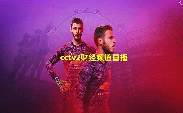 cctv2财经频道直播