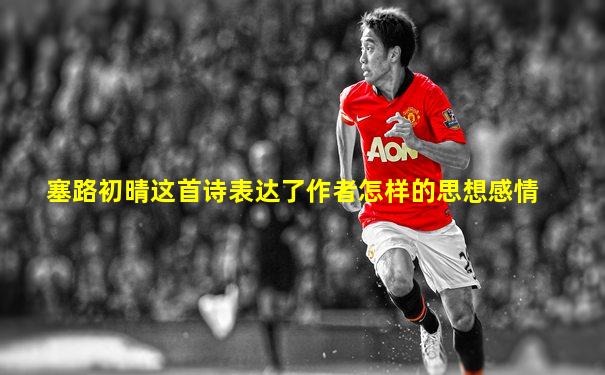 塞路初晴这首诗表达了作者怎样的思想感情