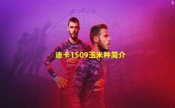 迪卡1509玉米种简介